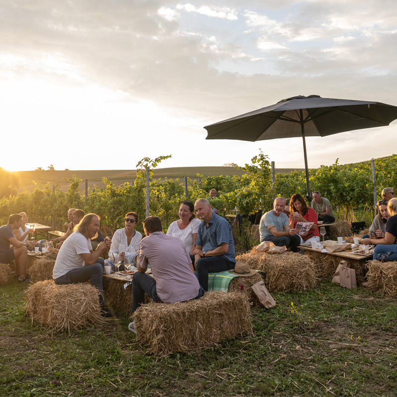 Live im Weingarten - das Musikevent im 95tage Weingarten