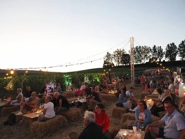 Gäste bei Live im Weingarten in stimmungsvoller Abendatmosphäre