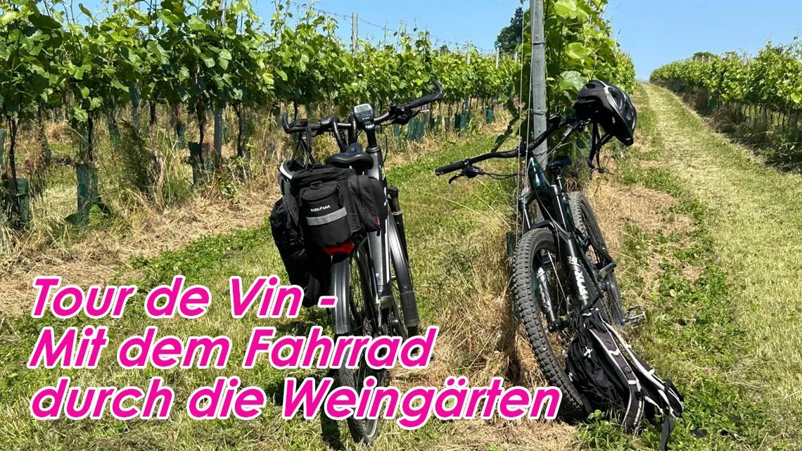 Tour de Vin – Genussvolle Radtour durch die Weingärten