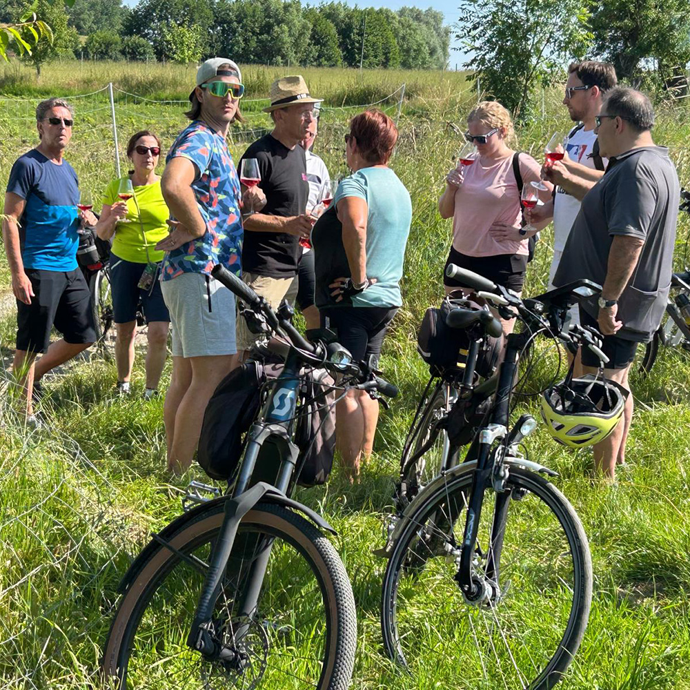 Wein-Erlebnisse in Gruppen bei 95Tage erleben