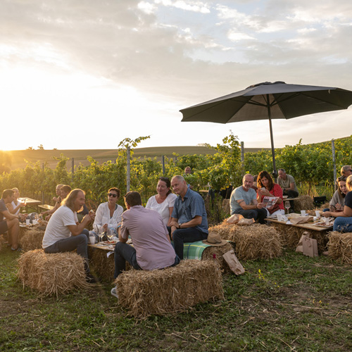 Weingarten-Eventbereich von 95Tage bei Sonnenuntergang in Oberösterreich
