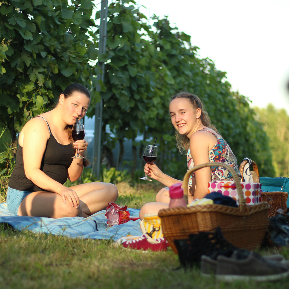 das Heurigenpicknick im Weingarten an allen Samstagen im Juni