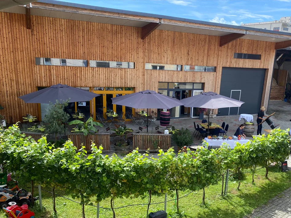 Hofbesichtungen mit Verkostung bei Weinbau Eschlböck in Hörsching