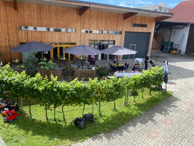 Hofbesichtungen mit Verkostung bei Weinbau Eschlböck in Hörsching