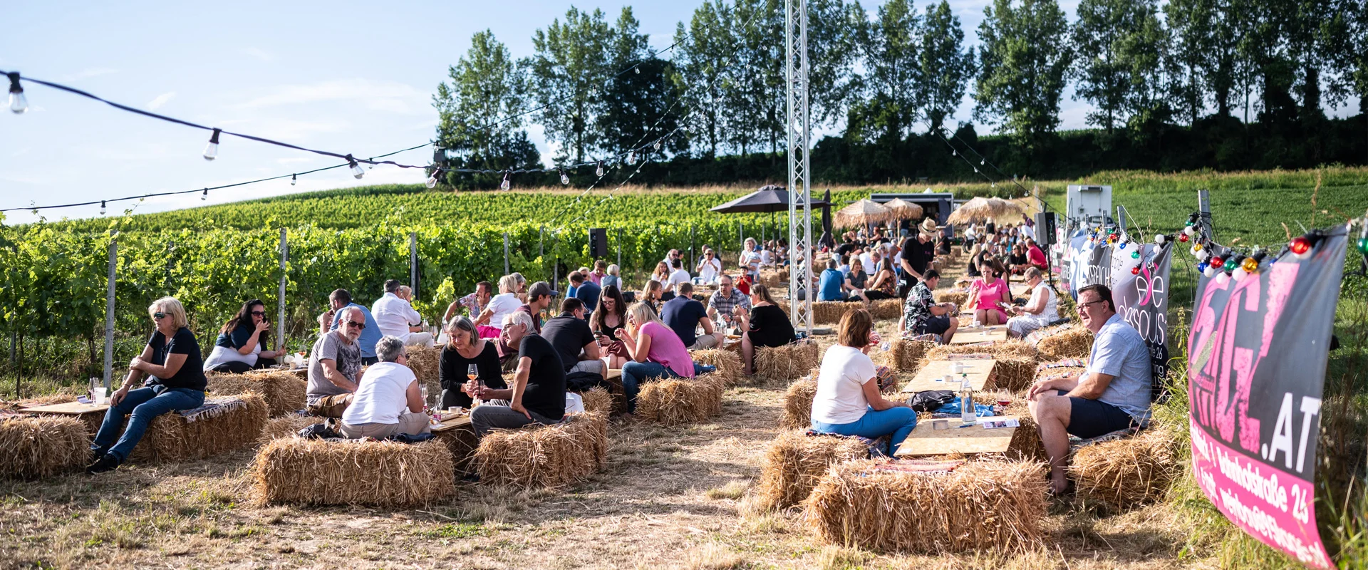Veranstaltungern im Weingarten von 95tage Wienbau Eschlböck in Gumpolding