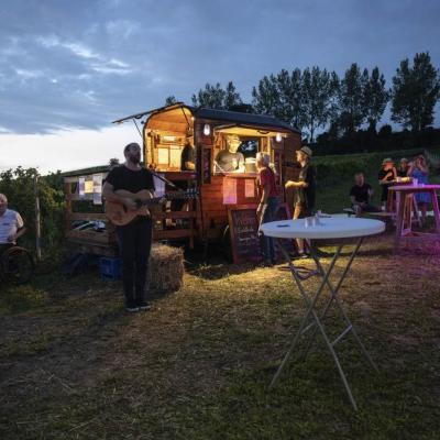 Lässige Optik vom Baranhänger im Weingarten