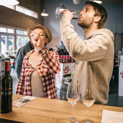 Verkosten am Hof von Weinbau Eschlböck in Hörsching
