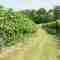 This image for Image Layouts addon
