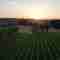 This image for Image Layouts addon