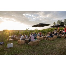 Veranstaltung "LIVE im Weingarten"